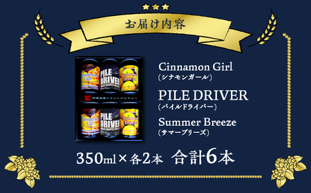 都農クラフトビール詰め合わせ6本セット 酒 アルコール 飲料 国産_T016-003【農の都BBQ特集 ポンカン ビール シナモン ビール 日向夏 ビール お酒 ビール 晩酌 ビール  ビール いも焼