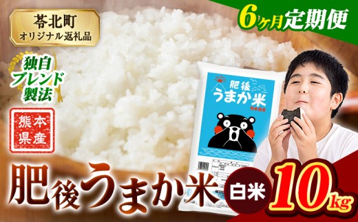 【6か月定期便】米 白米 熊本県産 肥後うまか米 10kg(5kg×2袋) 精米 こめ  コメ お米 おこめ ブレンド米《申込月の翌月から出荷開始》熊本県産  コメ お米 おこめ