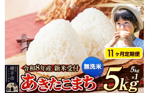 《令和8年産 新米受付》定期便11ヶ月》 米 あきたこまち 5kg 【無洗米】 秋田県産 [新米 先行予約 先行受付 米 コメ 無洗米 あきたこまち おいしい 美味しい]