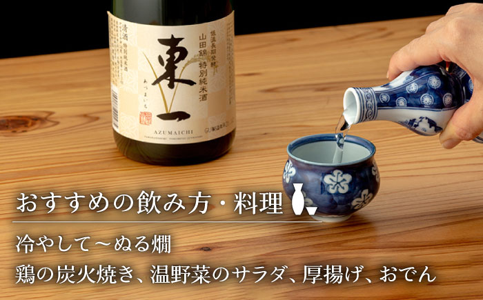 東一 山田錦特別純米酒・純米吟醸酒720ml2本 【嬉野酒店】 NBQ002