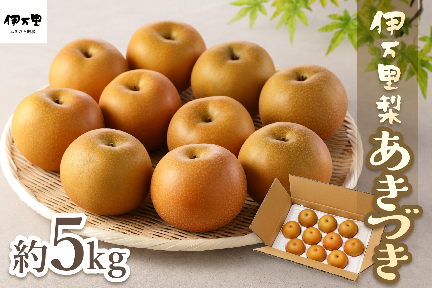 【2025年産先行予約】伊万里梨「あきづき」 約5kg B165