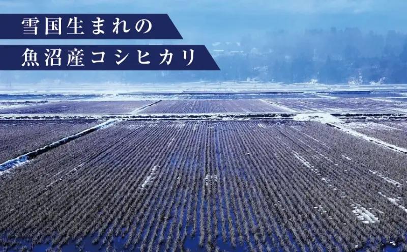 コシヒカリ 従来品種 魚沼産 5kg 精米 コシヒカリ