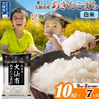 ふるさと納税 大仙市 米《7ヶ月》あきたこまち【白米】  令和7年産 10kg|22_ssn-011007_sf