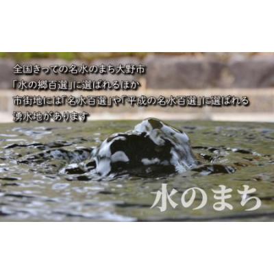 ふるさと納税 大野市 【令和7年産】【6ヶ月定期便】こしひかり 5kg×6回 計30kg【白米】「エコファーマー米」 |  | 01