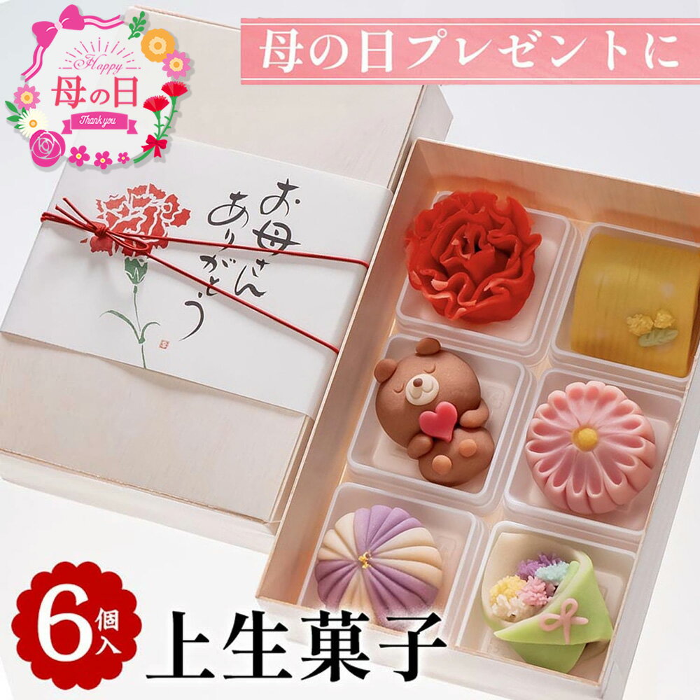 【ふるさと納税】母の日 プレゼント「上生菓子 6個入」｜母の日ギフト 京都 お取り寄せ グルメ ご当地 お菓子 和菓子 スイーツ 和スイーツ ギフト 贈り物 ※2026年5月8日発送予定 ※北海道・沖縄・離島への配送不可