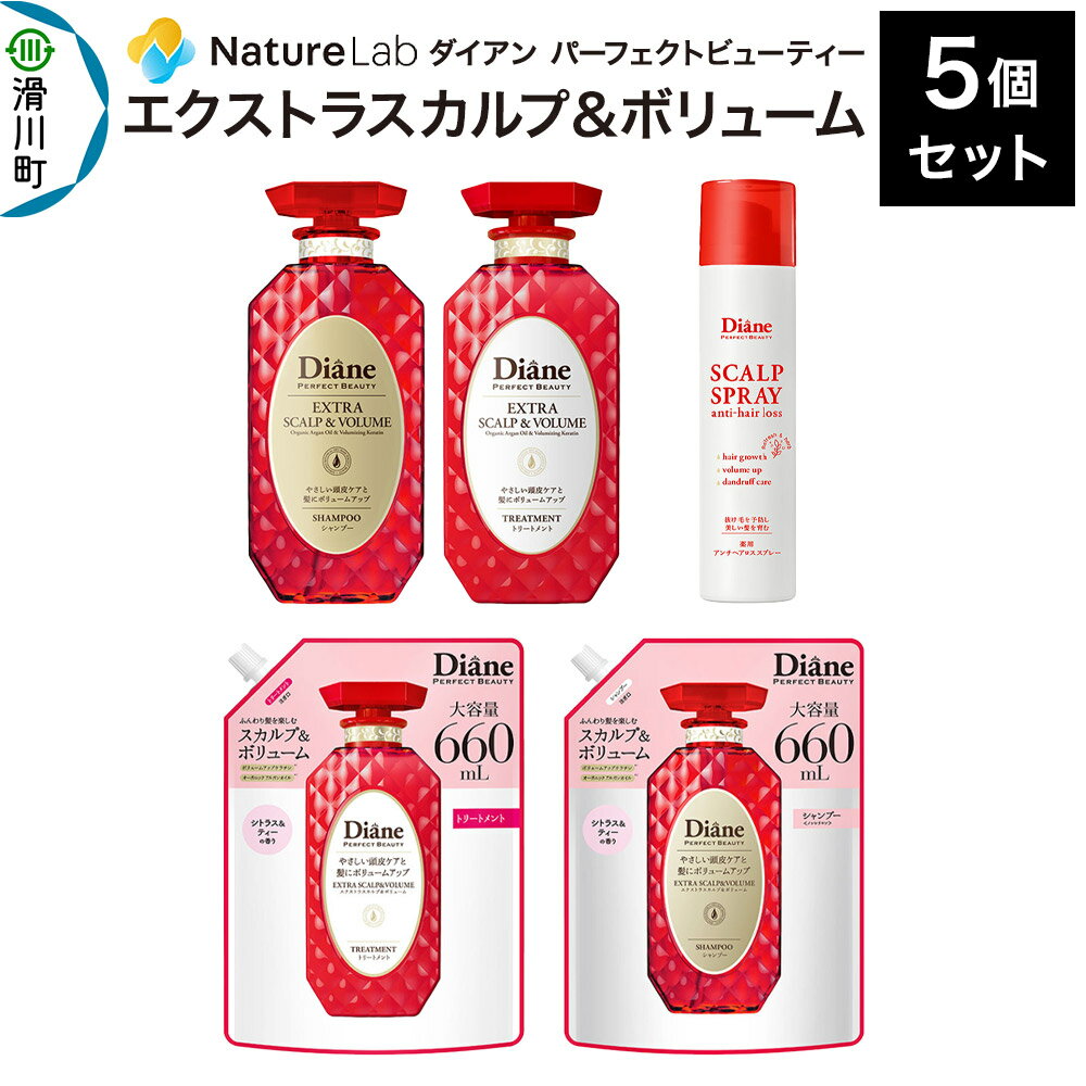 【ふるさと納税】Diane ダイアン パーフェクトビューティー エクストラスカルプ＆ボリューム 5点セット（シャンプー＆トリートメント 本体 450ml×2、詰替大容量シャンプー×1、トリートメント×1、アンチヘアロス＆スカルプスプレー×1）