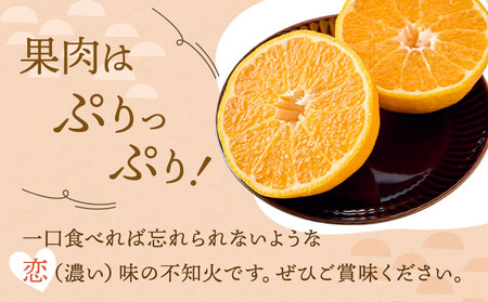 不知火 【先行予約】 恋する 不知火 約2kg 訳あり品 【御舩果樹園】【2025年4月上旬から2025年6月下旬発送予定】 デコポン同品種 柑橘不知火 しらぬい 国産不知火
