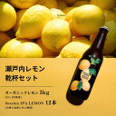 【ふるさと納税】オーガニックレモン 3kg(12~1月発送) / 大崎上島のクラフトビール Session IPA Lemon 12本 オーガニック 有機レモン 有機JAS れもん クラフトビール 地ビール 爽快 ホップ 晩酌 国産 瀬戸内 広島 免疫力向上 健康 ビタミンC クエン酸 抗酸化 ソーダ 炭酸水