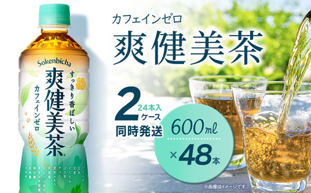 爽健美茶 600mlPET_48本（24本入×2ケース）｜ 無糖茶 カフェインゼロ