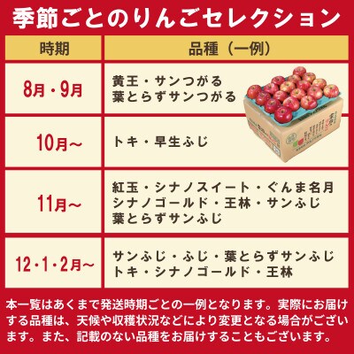 【発送月固定定期便】青森りんご 訳あり 品種おまかせ 5kg 2025年9月～2026年2月全6回【配送不可地域：離島・沖縄県】