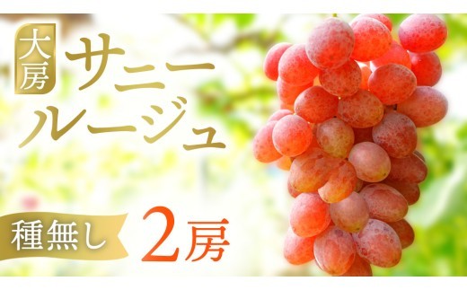 
                  【先行予約】サニールージュ 約1kg ( 2房 ) (AR031) 2026年産 ぶどう 希少品種 8月下旬発送 岩手県 紫波町産 産地直送 フルーツ ギフト 贈答用 数量限定 完熟 甘い 葡萄 ブドウ
                