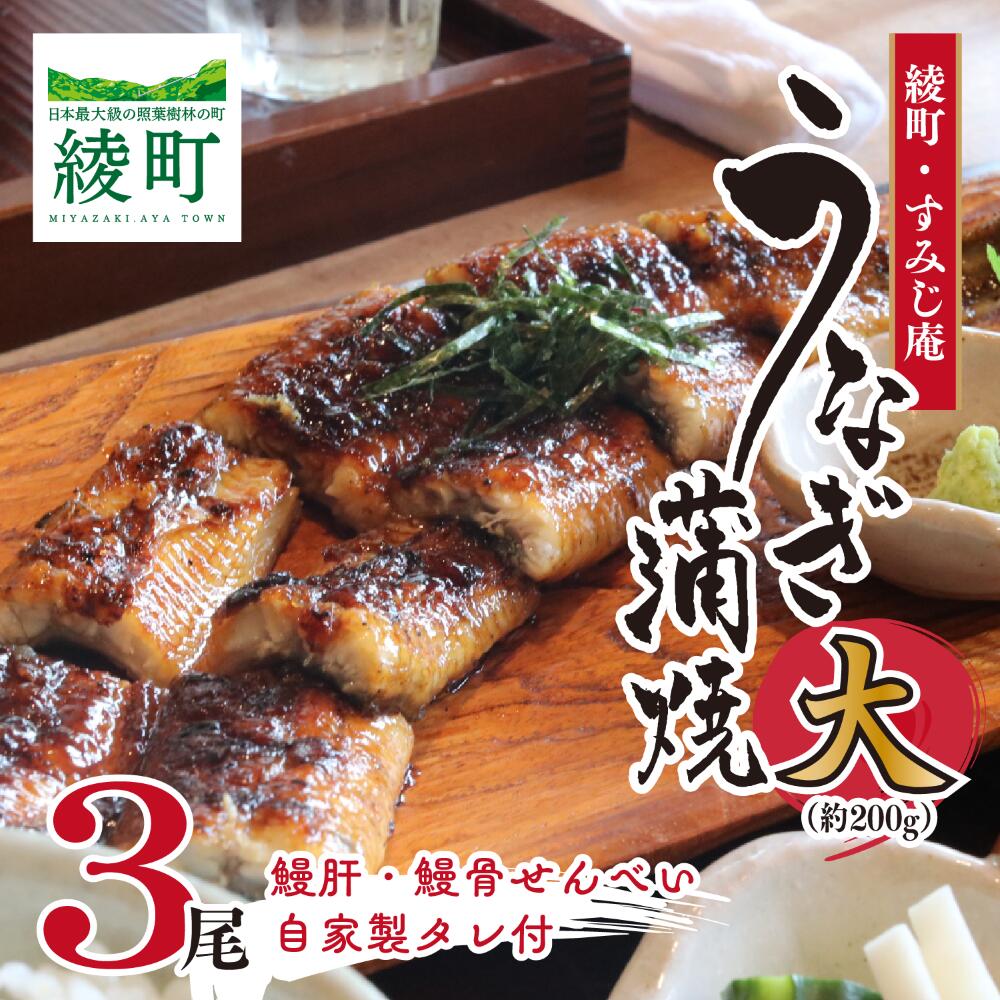【ふるさと納税】国産 うなぎ蒲焼（大）3尾 鰻肝 鰻骨せんべい 自家製タレ付き 鰻 ウナギ 冷凍 蒲焼 国産うなぎ 丑の日 土用 簡単調理