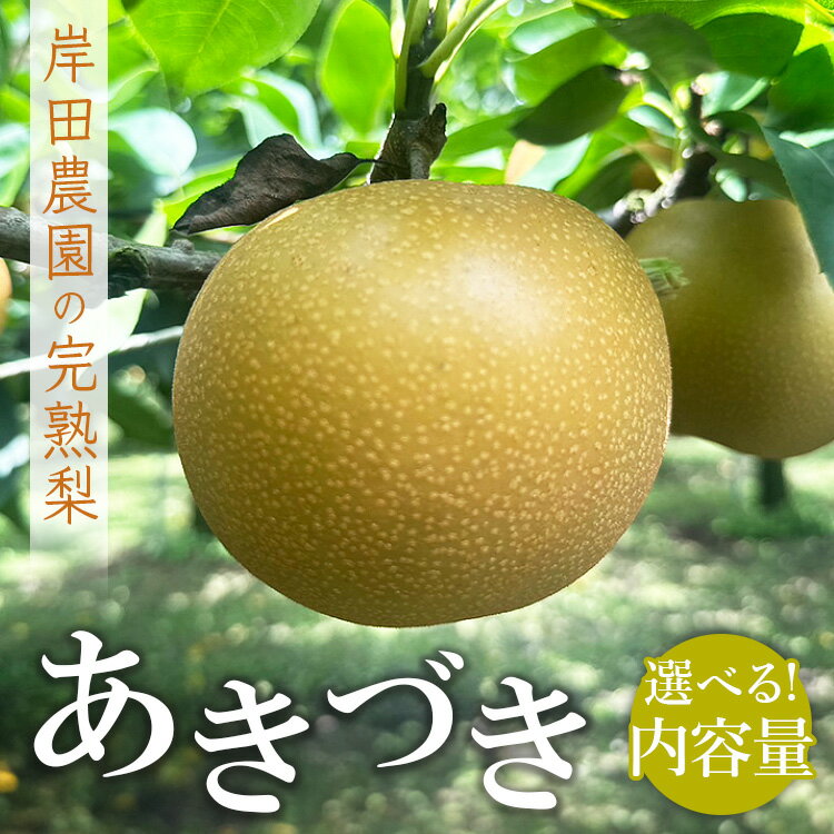 【ふるさと納税】【選べる内容量】【先行予約】岸田農園の完熟梨 あきづき | 梨 なし 秋月 果物 フルーツ 完熟 ジューシー 秋 旬 産地直送 期間限定 季節限定 季節商品 送料無料 国産 栃木県 芳賀町 ※2025年9月中旬～9月下旬頃に順次発送予定