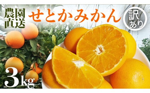 【 訳あり 】 ご家庭用 ハウスせとかみかん 3kg サイズお任せ せとか みかん 果物 フルーツ デザート 茨城県