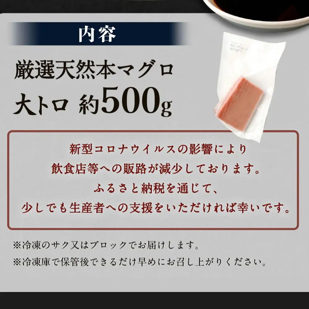 本まぐろ 大トロ 約500g まぐろ【ge013】