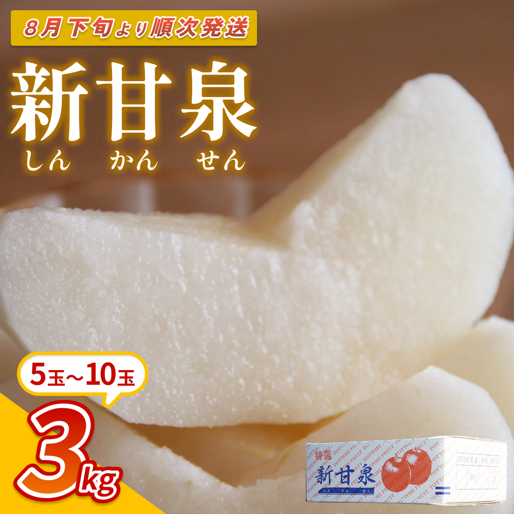 【先行予約】中野農園 梨 ”新甘泉” 3kg箱｜鳥取 岩美 梨 なし ナシ 赤梨 果物 フルーツ 常温 ※お届けは2026年8月下旬以降【41020】