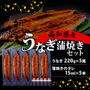 【 うなぎ蒲焼 】 うなぎ蒲焼 220g 5尾