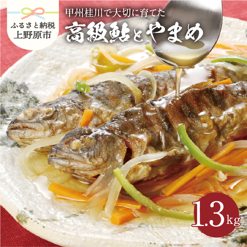 【ふるさと納税】 鮎 やまめ 魚 川魚 セット ギフト 和食 セット 甲州桂川の鮎と桂川のやまめ(Bセット) 贈答 贈り物 送料無料 ※沖縄県、離島不可 山梨県 上野原市