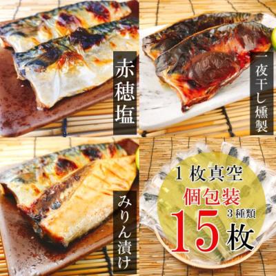 ふるさと納税 根室市 さばフィレ(塩さば・みりん漬け・一夜干し燻製)各5P A-09041