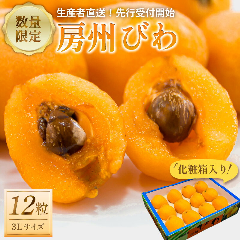 【ふるさと納税】【2025年5月下旬～6月中旬発送予定】房州びわ3Lサイズ以上×12粒（化粧箱入り） 千葉県 南房総市 大粒 果肉が甘い 軟らかい ジューシー カロテン 食物繊維 栄養素 豊富 甘酸っぱい 送料無料