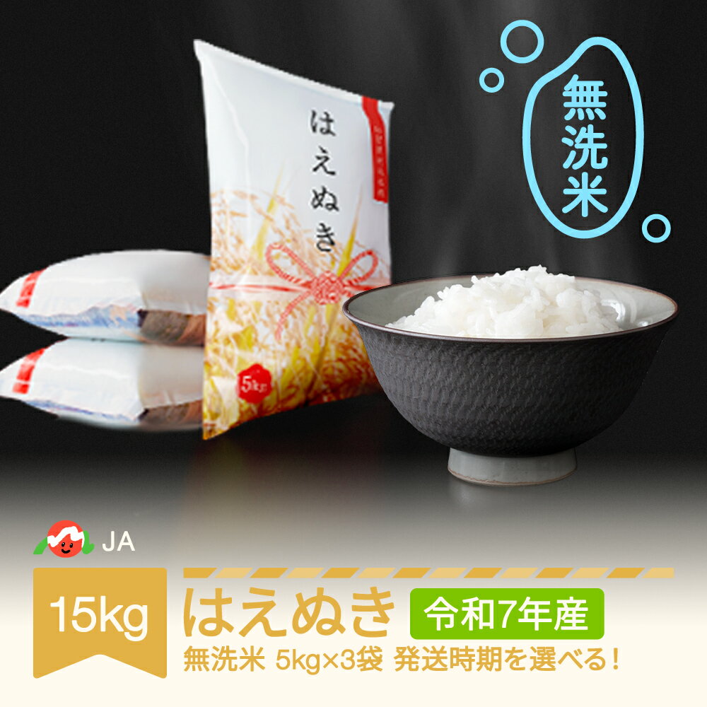 【ふるさと納税】 【先行予約】新米 米 15kg 5kg×3 はえぬき 無洗米 令和7年産 2025年産 山形県村山市産 送料無料※沖縄・離島への配送不可