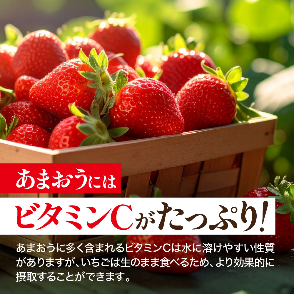<予約受付中!2026年1月上旬より順次発送予定>福岡県産 あまおう(計約560g・280g×2P) 苺 いちご イチゴ 果物 フルーツ 国産 福岡県 ヨーグルト ジャム スムージー 冷蔵 ONEGO