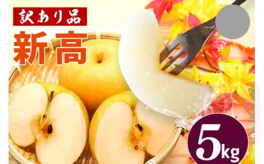訳あり 柴沼梨園の梨（ 新高 ） 梨 5kg 大玉 6～14個入り 訳アリ 不揃い ナシ なし 国産 茨城 新高梨 秋 旬 フルーツ 果物 先行予約 【9月下旬～10月上旬発送】 秋の味覚 旬の果物 くだもの 大きい サイズ 品種 産地 茨城県産 家庭用 産地直送 茨城県 笠間市