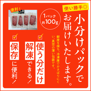オアシス九州 【熊本県内と畜】 馬刺し 赤身 400g 県内肥育 馬肉 ブロック おつまみ 冷凍 _U117-0029
