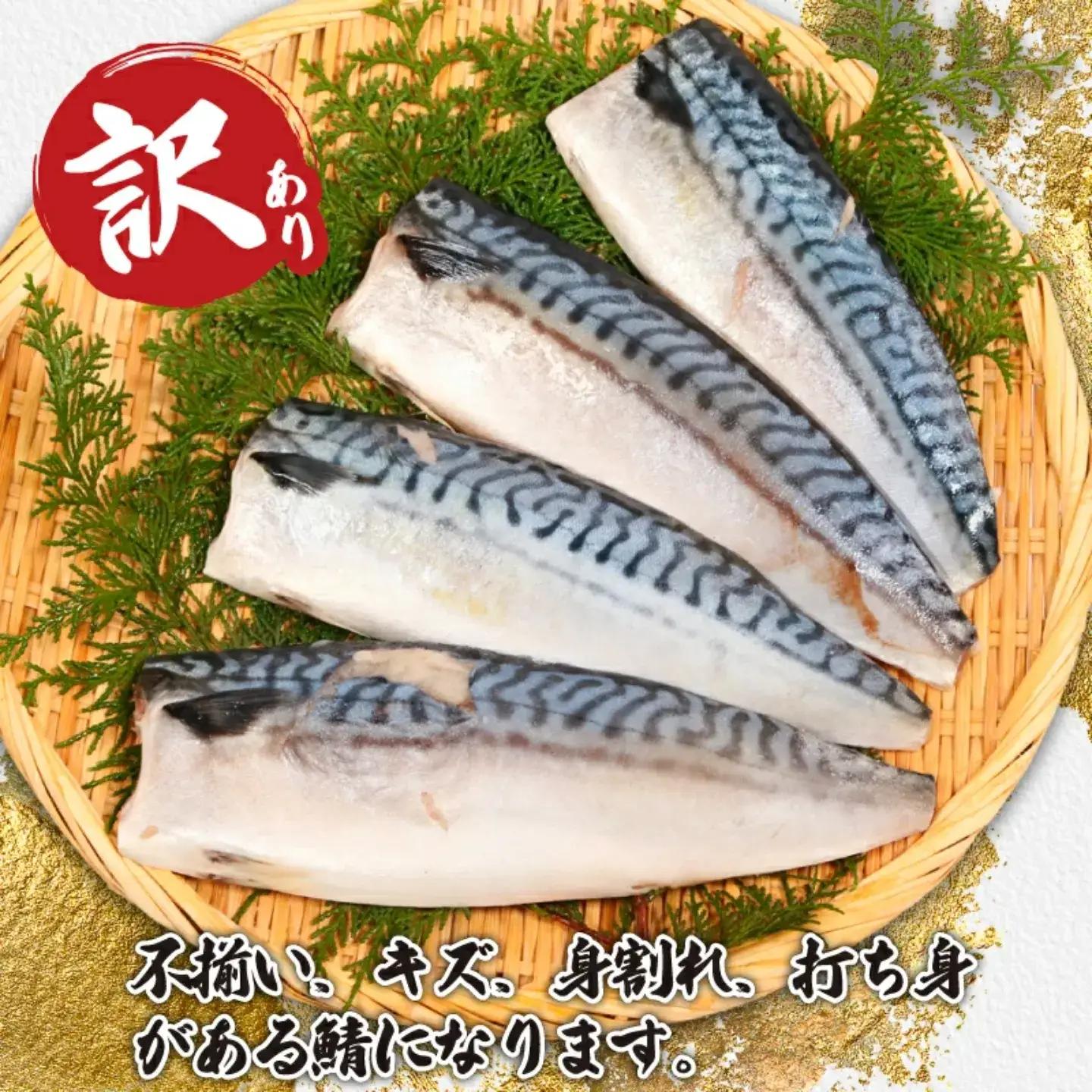 【 スピード配送 】 訳あり 適塩さば 1kg さば