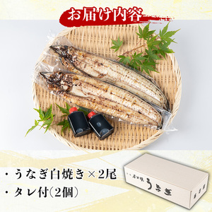 y134 国産！うなぎ白焼き(2尾・タレ付き)  国産 九州産 鰻 ウナギ 有頭 魚 魚介類 かばやき 蒲焼 蒲焼き しろやき 白焼 おかず 特産品 お土産 ギフト プレゼント 冷蔵 送料無料【尾方屋