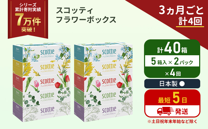 定期便 ティッシュ スコッティ フラワーボックス 40箱 (5箱×2パック)《3ヶ月ごと計4 回》 ティッシュペーパー ペーパーボックスティッシュ ボックスティシュー ティシュペーパー 防災 災害 日用品 消耗品 生活用品 生活必需品 宮城県 岩沼市