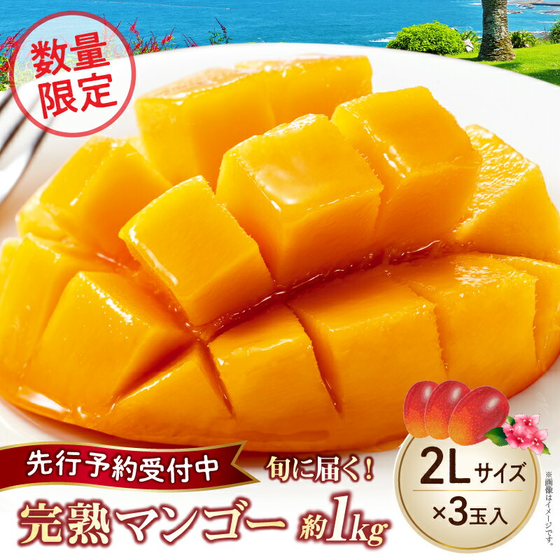 【ふるさと納税】【2026年発送】完熟 マンゴー 2L×3玉 約1kg 数量限定 厳選 大玉 化粧箱入り 2026年 先行予約 先行受付 マンゴー 完熟マンゴー 果物 くだもの フルーツ デザート 完熟 濃厚 人気 国産 ギフト プレゼント 贈り物 贈答 お祝い ご褒美 宮崎県 小林市 送料無料
