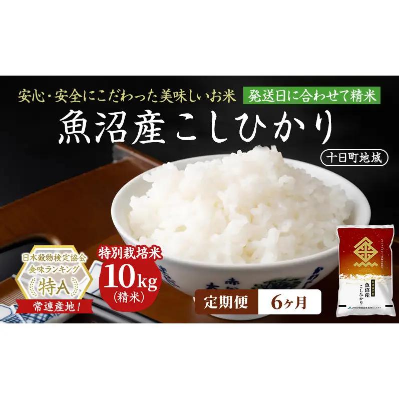 【令和8年産 先行予約】【6ヶ月定期便】特別栽培米 魚沼産こしひかり(十日町地域) 精米 10kg(5kg×2) 米 お米 コシヒカリ 定期 十日町市