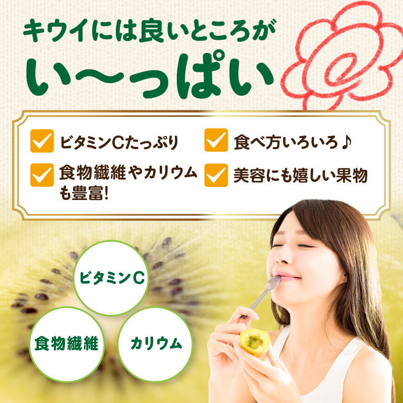 九州・福岡フルーツ王国八女 産地直送キウイフルーツ 約3.0kg【2025年12月発送開始】＜配送不可：北海道・沖縄・離島＞ フルーツ ヘイワード 産地直送 期間限定 福岡県 八女市