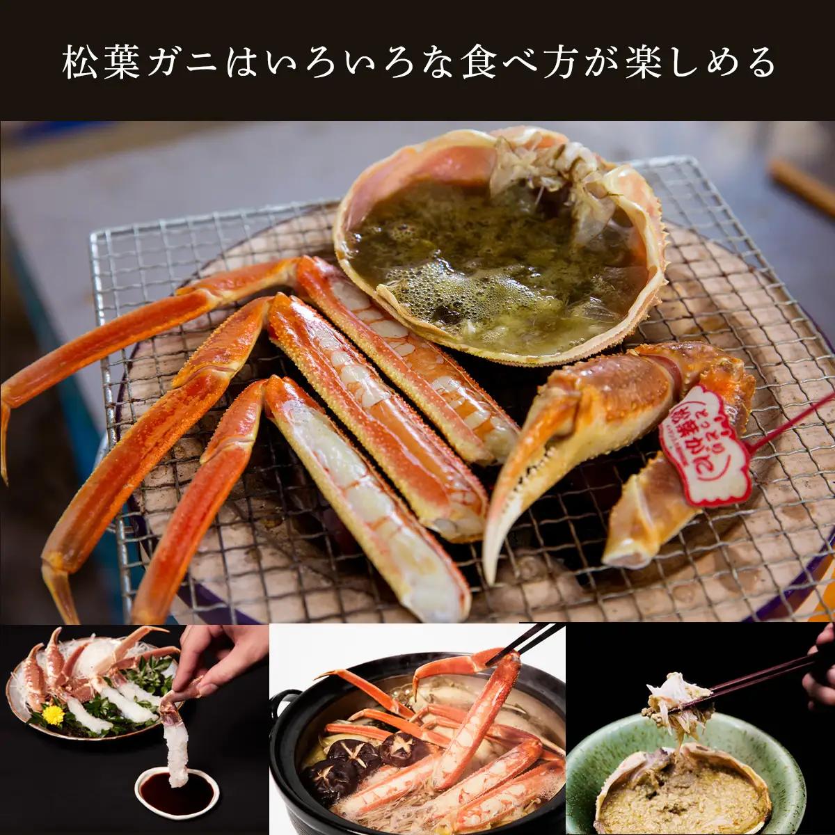 Y1094 【訳あり】活〆ボイル松葉がに2杯（500～700g×2杯）