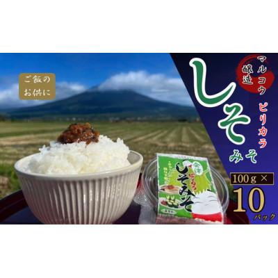 ふるさと納税 湯川村 ご飯や野菜のお供に!会津のピリカラしそみそ100g×10パック入り
