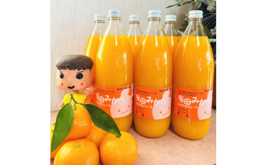 【大人気】有田みかん100％のジュース1,000ml×2本セット　※着日指定不可【tkh013】