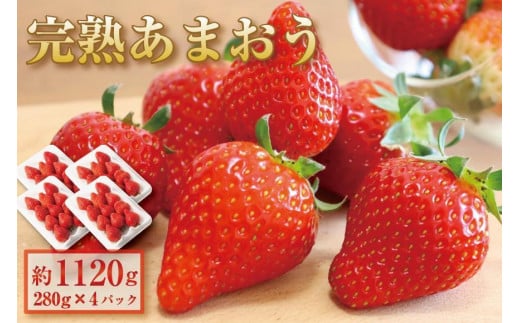【2026年1月～2月出荷予定】完熟 あまおう イチゴ 280g×4パック(約1120g)＜配送不可：北海道、沖縄県、離島＞