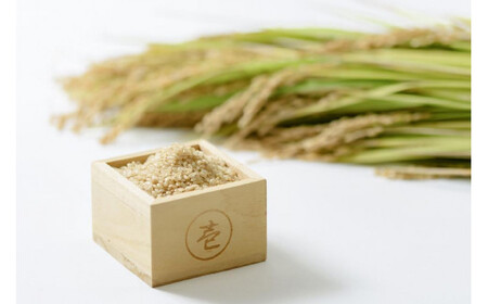 数量限定★令和7年産|棚田米コシヒカリ|新潟上越牧産ブランド米「幻米」4kg(2kg×2袋)玄米 お米 こめ 白米