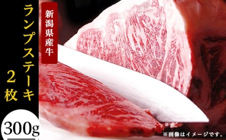 76-56A【訳あり】新潟県産牛（長岡産）ランプステーキ2枚（計300g）