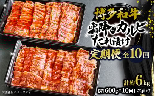博多和牛 霜降りカルビたれ漬け 全10回定期便 約600g×10回 肉 お肉 焼肉 牛 牛肉 和牛 バーベキュー BBQ
