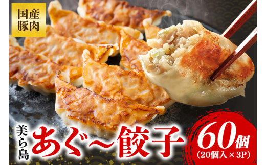 美ら島あぐー餃子 60個セット 20個入×3パック 絶品 こだわり 豚 肉 国産 ごはん おかず お弁当 冷凍 ぎょうざ ギョウザ 小分け BBQ ギョーザ 惣菜 晩酌 ギフト 手作り 生餃子 豚肉 冷凍食品 おつまみ 冷凍餃子 ブランド豚 総菜 中華 焼き餃子 沖縄県 糸満市