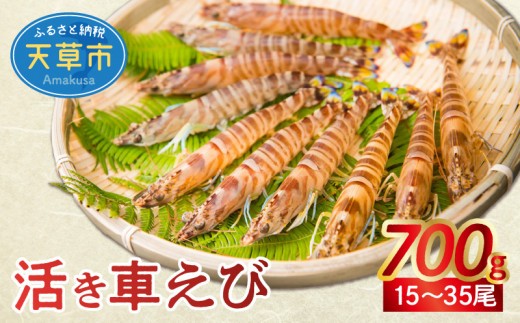 【鮮度抜群】厳選・幸福堂の活き車えび(700g)〈先行予約〉※全国_S005-002