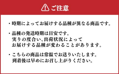 【 数量限定 】旬の梨 5kg 12～14 玉 【 先行予約 】 【8月より発送】