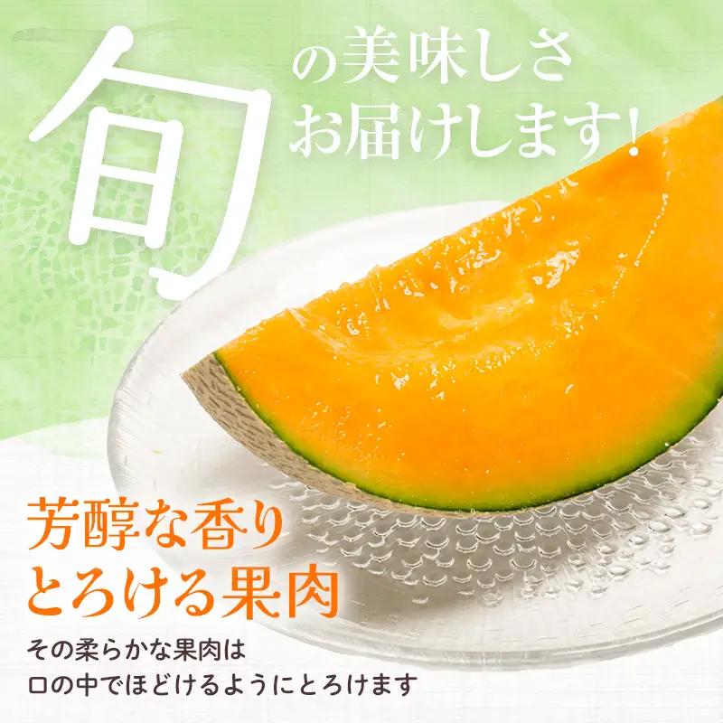 【先行予約】北海道森町産赤肉メロン 中玉 2玉入り(1玉約1.3~1.6kg) （2026年6月上旬～8月上旬頃に順次お届け） ＜道産ネットミツハシ＞ 森町 メロン 果物 赤肉 北海道産 北海道 mr