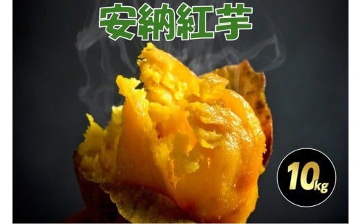 
            種子島産安納紅いも10kg 2S～Sサイズ（61g～150g）
          