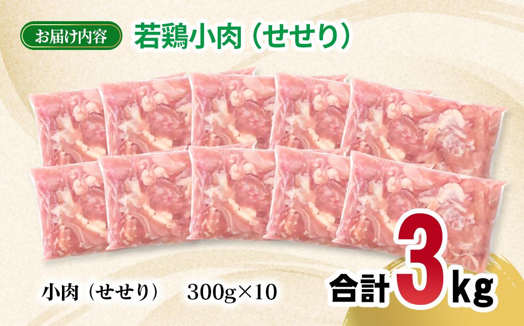 宮崎県産若鶏 小肉（せせり）3kg 小分け 300g ×10パック＜2-108＞