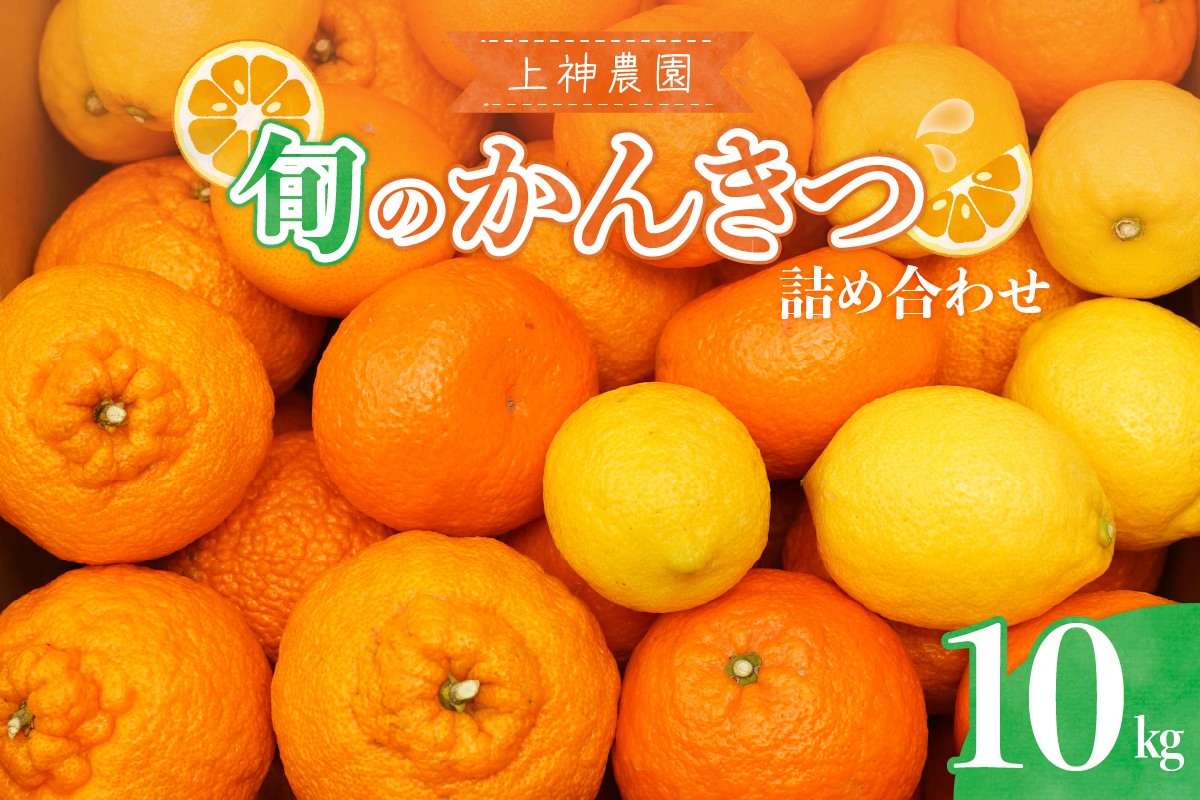 
            【2025年11月中旬～発送】上神農園 旬の柑橘詰め合わせ約10kg ku011-023-25
          