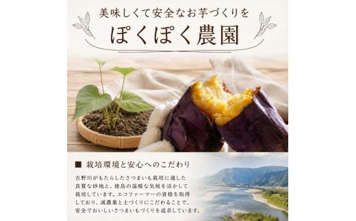鳴門金時 ＆ 紅はるか 食べくらべ セット 各1.5kg 計3kg ぽくぽく農園 さつまいも サツマイモ やきいも 芋 野菜 デザート 農家直送 徳島県 食べ比べ 生芋 旬 鳴門金時 紅はるか