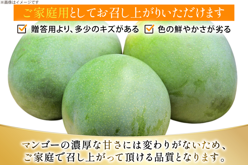 【期間限定発送】 家庭用 キーツ マンゴー 約 2kg (2〜3玉) [伊江村マンゴー部会 沖縄県 伊江村 ie47bde320000] キーツマンゴー 沖縄 フルーツ 果物 甘い 夏 濃厚 Mang